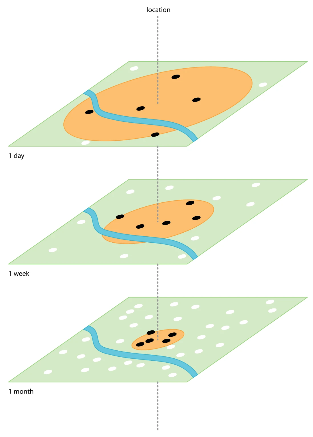 A diagram showing how Conversations moved between very recent discussions across a large area and very local discussions across a longer period.