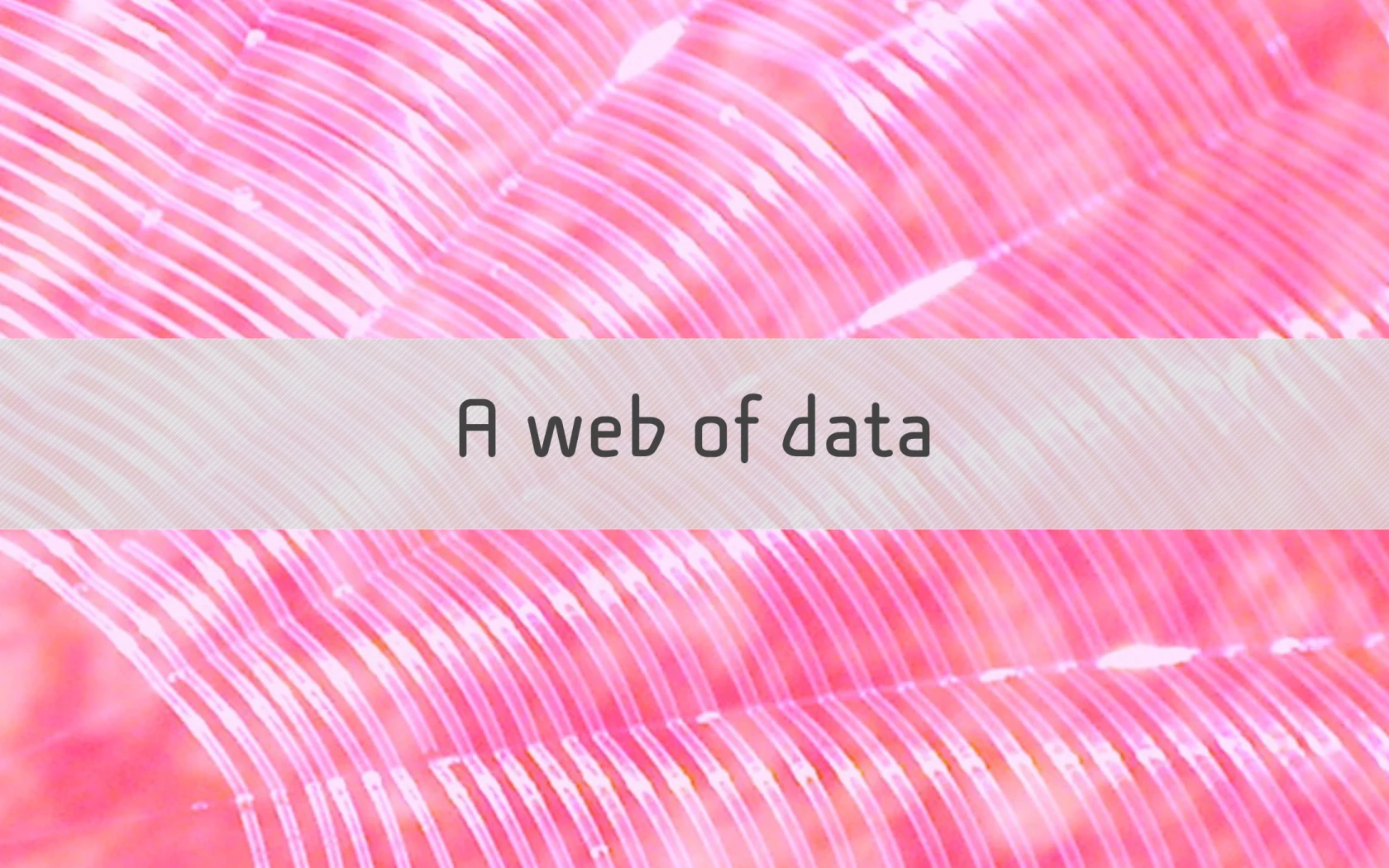 Section slide: A web of data.
